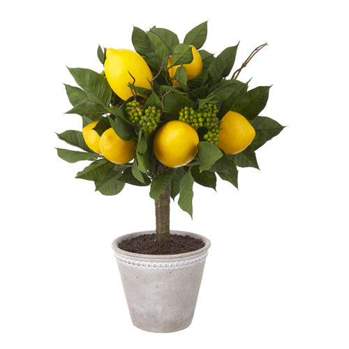 RAZ - 16" POTTED LEMON TOPIARY